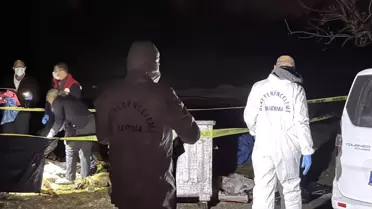 Samsun'da çöp konteynerinde 9 telef olmuş köpek bulundu