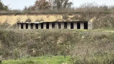 Samsun'da 9 Köpek Ölü Bulundu