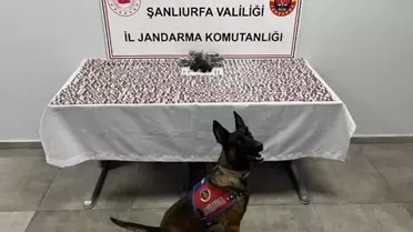 Şanlıurfa'da Uyuşturucu Operasyonu