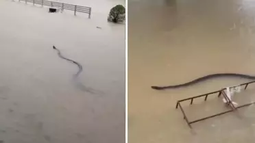 Devasa boyutlarda! Selin vurduğu ülkede kabus görüntüleri