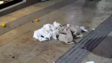 Gümüşhane'de Bıçaklı Saldırı: