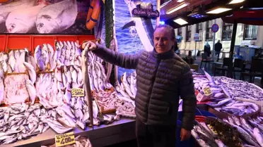 Eskişehir'de Yılan Balığı Satışı