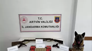 Artvin'de Silah Kaçakçılığı Operasyonu