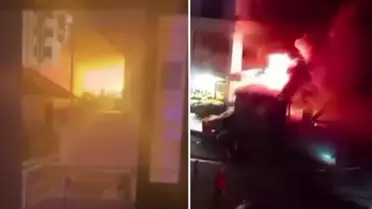 Elektrik direğine tırmanan ayı, zorlukla indirildi