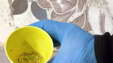 Kırıkhan'da Fırın Denetiminde Şok Görüntüler