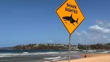 Köpekbalığı saldırısında genç kadın hayatını kaybetti