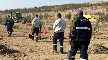 Sincan'da Kadına Yönelik Şiddete Karşı Etkinlikler Düzenlendi