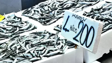 Trabzon'da Hamsi Sezonu