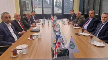 Türkiye–Gürcistan Dostluk Grubu Gürcistan'da resmi temaslarda bulundu