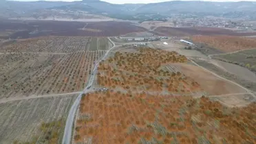 Yozgat'ta Ortak Meyve Bahçesi İstihdam Sağlıyor