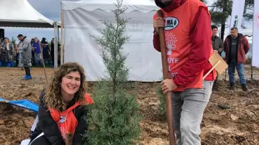 Çanakkale'de 20 Bin Fidan Dikildi