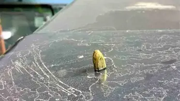 Maganda Kurşunu Hopa'da Otomobile Isabet Etti