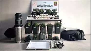 Eskişehir'de Kenevir Operasyonu