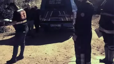 Erdemli'de Yangın: 1 Ölü