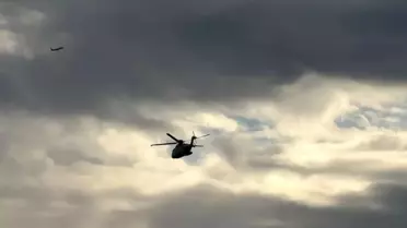 Papa 14. Leo İznik'e Hareket Etti