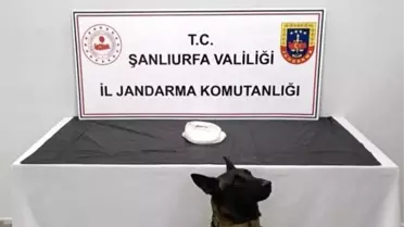 Şanlıurfa'da Narkotik Operasyonu: 2 Gözaltı