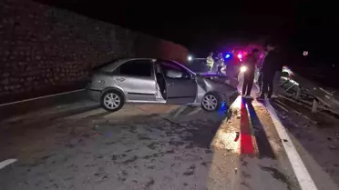 Yaban Hayvanı Kazaya Neden Oldu