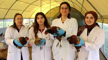 Amasya'da Sülün Yetiştiriciliği Artıyor