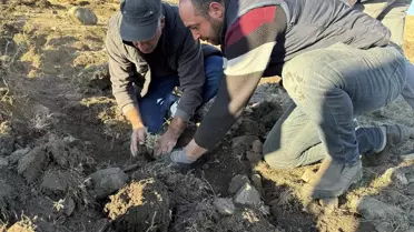 Ardahan'da Tuz Çalısı Ekimi ile Kuraklıkla Mücadele