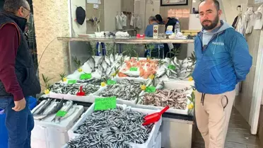 Düzce'de Hamsi Bolluğu, Palamut Yok