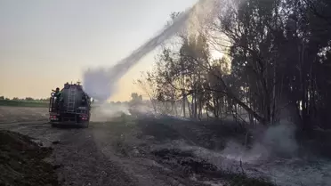 Erzin'de Ağaçlık Alanda Yangın Söndürüldü