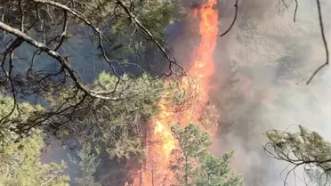 Belen'de Orman Yangınına Müdahale Ediliyor