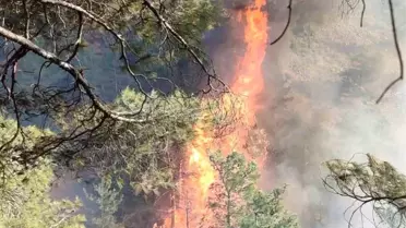 Belen'de Orman Yangınına Müdahale Başladı