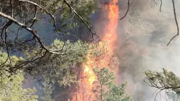 Belen'de Orman Yangını