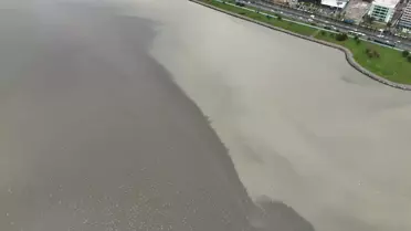 İzmir Körfezi Kahverengiye Döndü