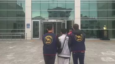 Ordu'da 64 Suçlu Jandarma Operasyonlarıyla Tutuklandı