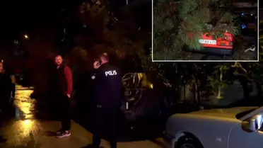 Antalya'da şiddetli rüzgar ağaç devirdi