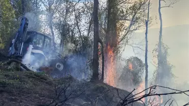 Hopa'da Bahçe Yangını Ormana Sıçradı