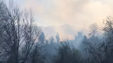 Hopa'da örtü yangınına müdahale