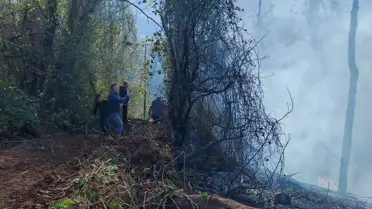 Hopa'da Örtü Yangınına Müdahale