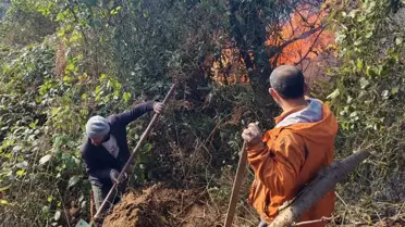 Artvin Hopa'da Orman Yangını