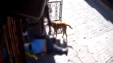 Bayılan Adamın Eşyasını Çalan 2 Hırsız Yakalandı