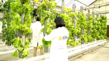 TENMAK'tan Tarım için Yenilikçi Çalışmalar