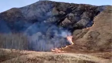 Erzurum Oltu'da örtü yangını kontrol altına alındı