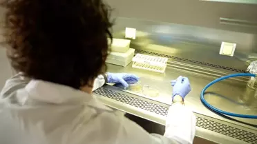 TENMAK'tan Yeni Tarım Çalışmaları