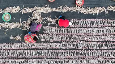 Tangshan'da Balıkçılar Kazanç Sağlıyor