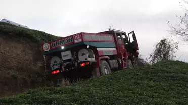 Hopa'da Yangın Kontrol Altına Alındı