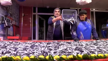 Bolu'da Hamsi Yüksek İlgiyle Satılıyor