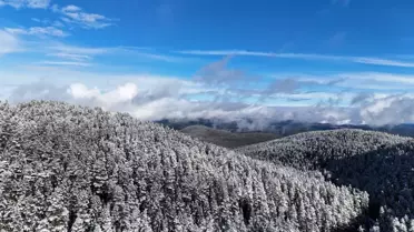 Bolu'da Kar Yağışı ile Beyaz Güzellik