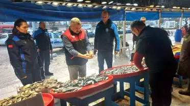 Balıkesir'de Uskumru İddialarına Denetim