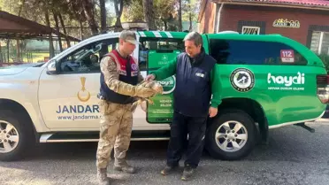 Gaziantep'te yaralı halde bulunan kartal, tedavi altına alındı