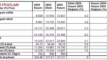 Kasım'da Market Fiyatlarında Düşüş