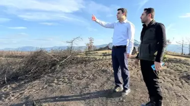 Osmaneli Ormanları Yeşerecek