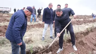 Sorgun'da 1500 Çam Fidanı Dikildi