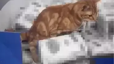 3 harfli zincir markette büyük rezillik! Görenin midesi bulandı