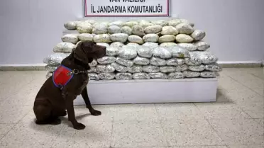 Başkale'de 60 Kilogram Skunk Ele Geçirildi